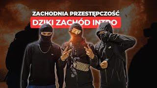 Dziki Zachód - Zachodnia przestępczość.