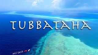 TUBBATAHA the Philippines Greatest Wild Life Sanctuary