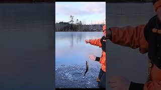 #icefishing #hardwaterfishing #fishing #catchandrelease