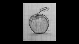 How To Draw An Apple Realistic