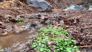 Little Bear Canyon / Jordan Hot Springs