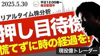 【じっと待つ】大相場に押し目はつきもの。天井を打つ気配はないと考える理由を説明します｜ピラミッディングとナンピンの違いとは？賢い投資判断術