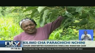 Kilimo cha parachichi nchini Kenya