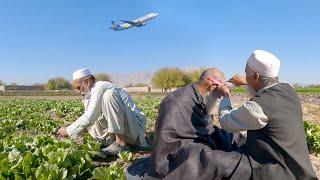 Afghanistan Simple Village Life | Amazing Village Life in Afghanistan | AFGHAN MIRROR