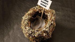 Battling the Empty Nest Syndrome