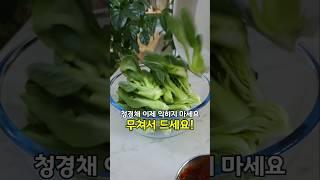 #청경채무침 #청경채김치 #청경채 #반찬 #집밥 #혼밥 #레시피 #cooking