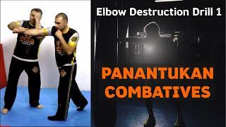 Jeet Kune Do (JKD ) & Panantukan Combatives - Limb Destruction Drill #1 - Street MMA