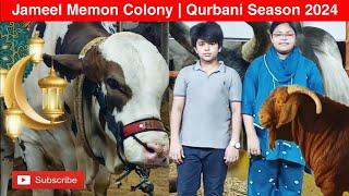 Jameel Memon Colony | Qurbani Season 2024 | Vip Cattle Farms | Muniza Sohail Vlogs |