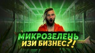 САМЫЙ ПРОСТОЙ БИЗНЕС ДОМА! Как зарабатывать 100 000 руб на микрозелени? Обзор бизнеса на траве