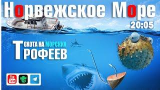 Охота на морских трофеев • Ловля в отвес • Русская Рыбалка 4 • Норвежское Море