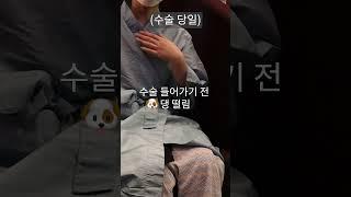 긴 말 안합니다. 이제 여름입니다. 초음파 팔겨부 지방흡입 후기 1탄  #팔뚝살빼기 #다이어트자극 #살빼기 #지방흡입후기 #1탄