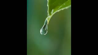 One of my all-time favorite robotic macro shots @chrisvtv #Shorts