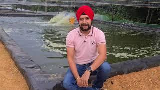 Meet Shri Satbir Juneja | Semi-Biofloc & RAS Technique | Government Subsidy For Fish Farming