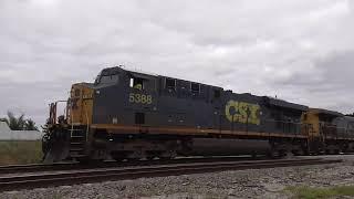 CSX DOUBLE WHAMMY With YN2 Plus Amtrak & Tri-Rail At Boynton Beach 11-17-24