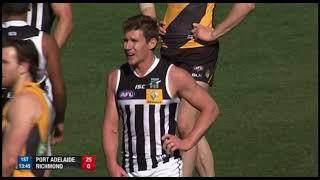 2014: Elimination Final Richmond v Port Adelaide