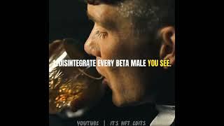 HOW TO BECOME A SIGMA MALE IN 4 STEPS |Peaky blinders|Thomas Shelby|Status|Quotes|#youtubeshorts