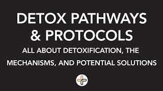 Everything You Need to Know About Detox Pathways & Protocols