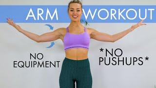 10 Minute No Equipment Arm Workout *No Push Ups*