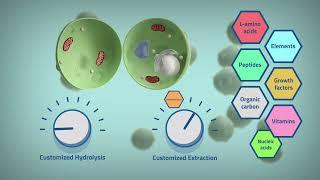 Science Animated 2D with 3D Showreel