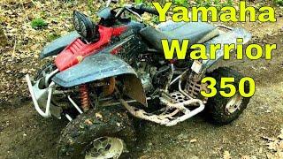 yamaha warrior 350 Quad || Walk Around & Quick Test Ride