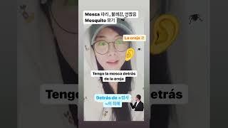 #스페인어공부 하루하나스페인어 #스페인어공부 #실비아스페인어#스페인어 # #외국어 #español #독학 #학습#공부 #열공 #스페인어멘토링