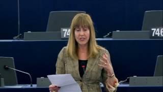 María Teresa Giménez Barbat 03 Apr 2017 plenary speech on European Solidarity Corps