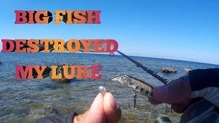 HUGE FISH DESTROYED MY LURE while inshore fishing