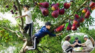 "Miss Huyen laughed: The disabled man went with her to harvest fruit, and the kind engineer cooked"