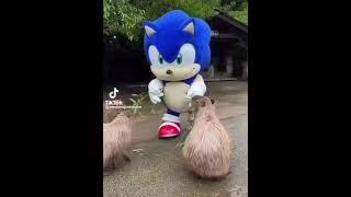 Sonic dando de comer a Capibaras