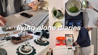 Work diaries & errands before Christmas, Chipi vet visits, living alone | iPhone 16 pro vlog