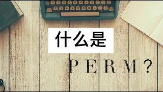 什么是PERM？