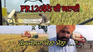 26ਦਾ ਵੀ ਝਾੜ ਵਧੀਆ ਏ2024ਦੇ ਸੀਜਨ ਦਾ/ਖੇਤੀਬਾੜੀ ਮਹਿਕਮਾ//