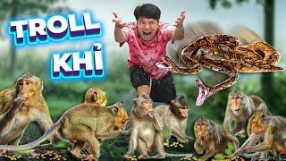 𝐓𝐨𝐧𝐲 | Challenge to Go to the Forest to Poke Monkeys  𝐌𝐨𝐧𝐤𝐞𝐲 𝐓𝐫𝐨𝐥𝐥