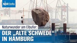 Der "Alte Schwede" in Hamburg: Eiszeit-Stein stammt echt aus Skandinavien | NDR Info