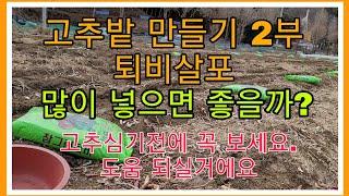 고추밭만들기 2부 퇴비살포 얼마 넣으면 좋을까요.