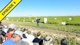 Rice Experiment Station Field Day!