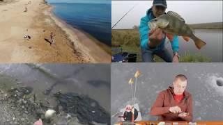 КАНАЛ О РЫБАЛКЕ и ДЛЯ РЫБАКОВ - КЛАССНАЯ РЫБАЛКА С АЛЕКСОМ, CFA, Cool Fishing with Alex