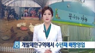 [대전MBC뉴스]개발제한구역에서 수년째 배짱영업