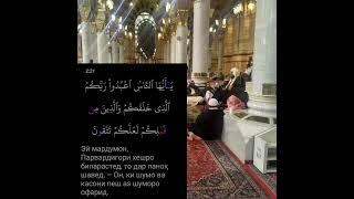 JOHIL BUDAN BA LA ILLAHA ILLALLOH IN KUFR AST! SHEYKH ABU MUHAMMAD MADANI HAFIZAHULLOH