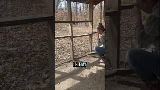 Renovating The Chicken Coop Day 2 #chicken #chickencoop #shortsvideo