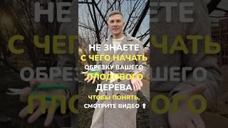 #обрезкасада #сад #обрезкадеревьев #обрезкаяблони #обрезкагруши #садоводство #обрезканаурожай