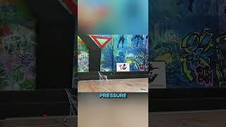 The Net Launcher That Catches Anything in Seconds 