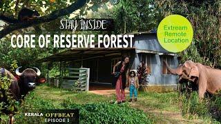 Stay in an extreme remote location | Safari in Nelliyampathy forest | Parambikulam tiger reserve