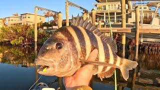 Big Sheepshead Time at the Docks! Fishing Explodes with Cold Weather!