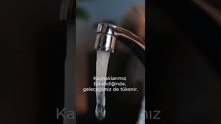 Sultan - 5 Haziran Dünya Çevre Günü