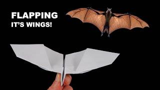 How to make a paper plane fly like a bat. Incredible Paper Airplanes