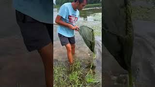 Rural life struggle in fishing #fish #fishing #fisherman #rural