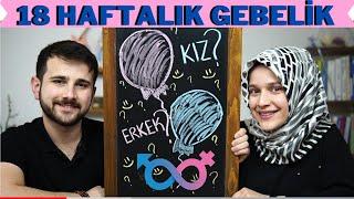 18 Haftalık Gebelik Döneminde Neler Oluyor? w/ @RabiaSAHIN