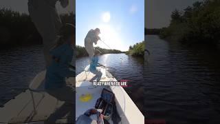 Nice Bow buddy 