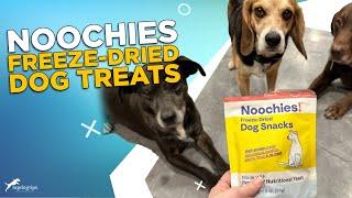 REVIEW: Noochies Freeze Dried Dog Treats